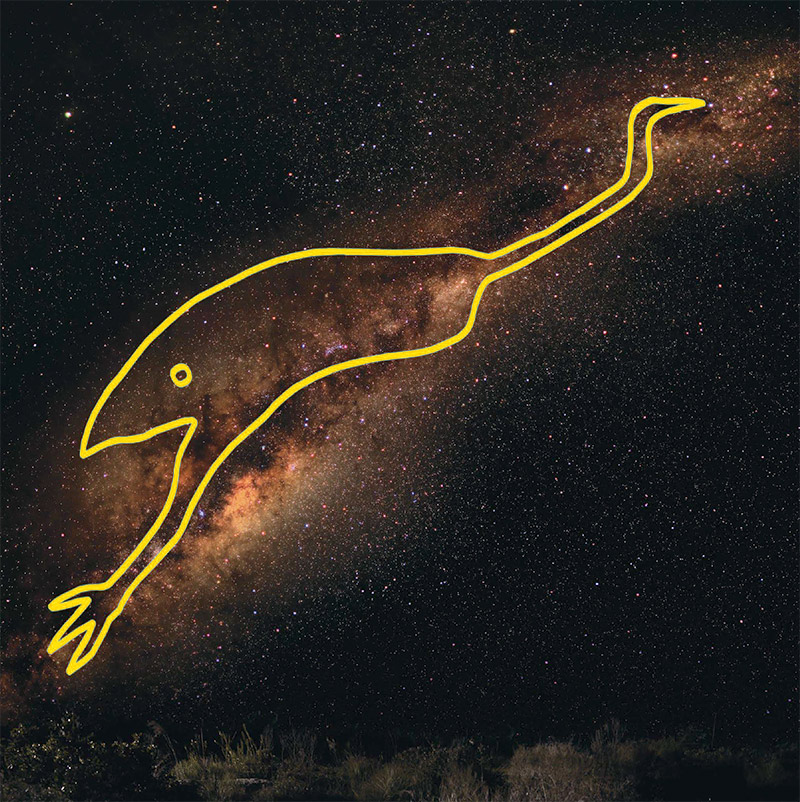 Il Grande Emù che alcuni aborigeni australiani vedevano nella Via Lattea