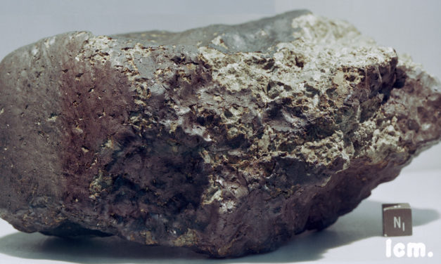 ALH84001, il meteorite marziano farcito di batteri