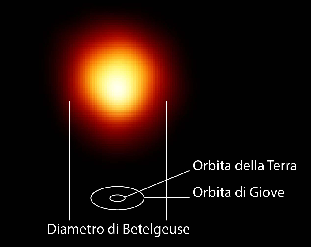 Le dimensioni di Betelgeuse in rapporto alle orbite dei pianeti del Sistema Solare