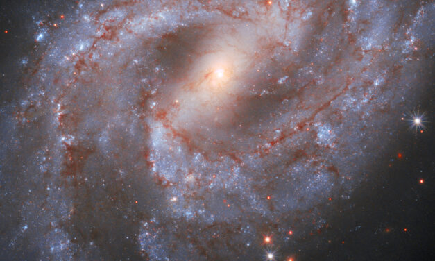 L’evoluzione della supernova SN2018GV