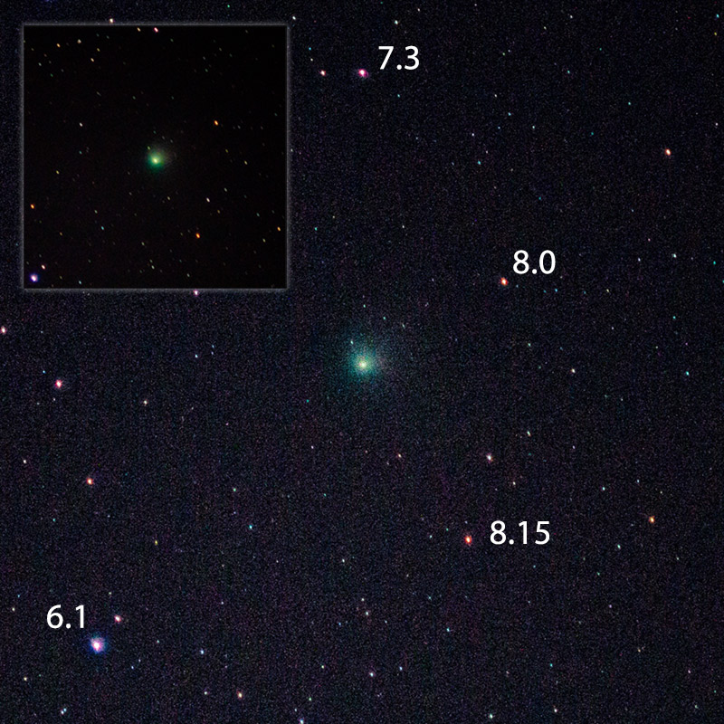 La cometa C/2022 E3 (ZTF) ripresa dall'autore il 29/01/2023 a Massa Lubrense