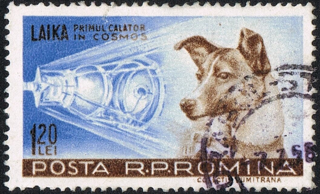 Laika, la prima vittima della corsa allo spazio